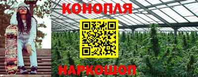 дурь Новозыбков