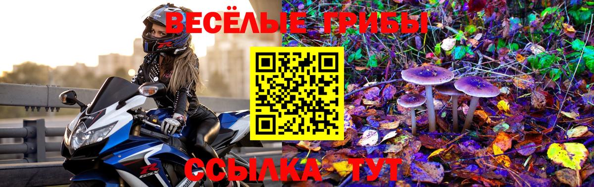 Псилоцибиновые грибы Psilocybine cubensis  Вход с VPN  Галлюциногенные грибы Psilocybe  Урус-Мартан 