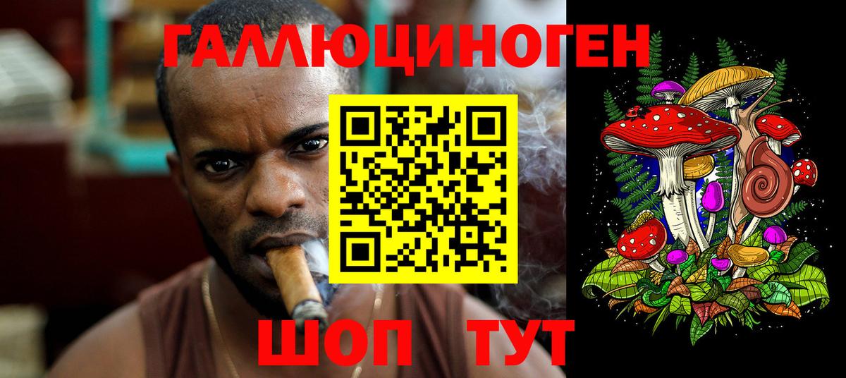 Псилоцибиновые грибы Psilocybe Урус-Мартан
